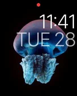 The Motion face on an Apple Watch