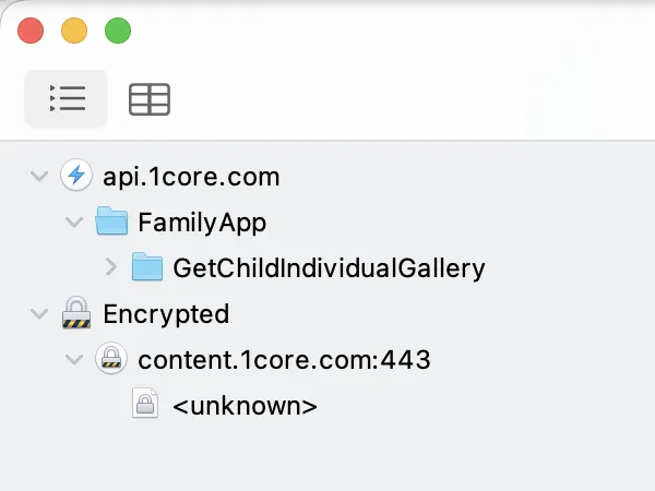 The current Charles Structure view showing the 1Core gallery endpoint and encrypted media host